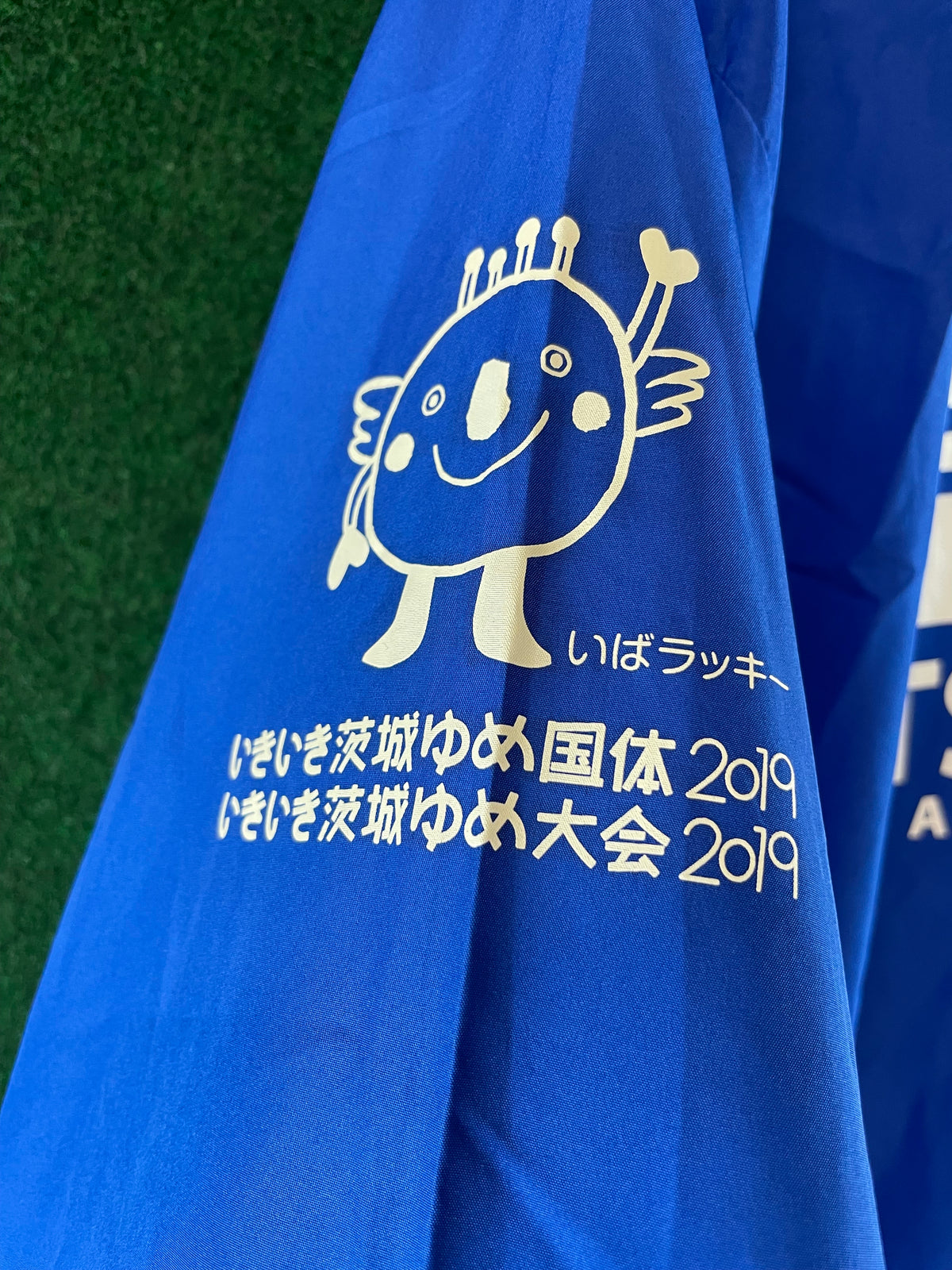 Tsukuba Marathon 2019 Mizuno Windbreaker Jacket (XL)