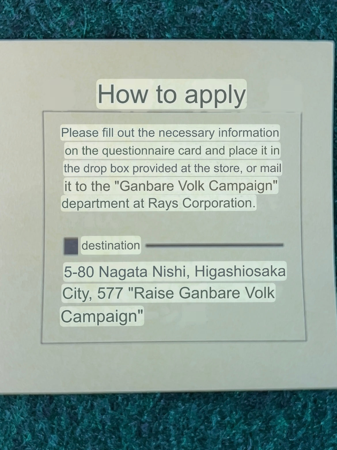 VOLK Racing RAYS Wheels - Light Blue Old Logo Font Genuine Sticker