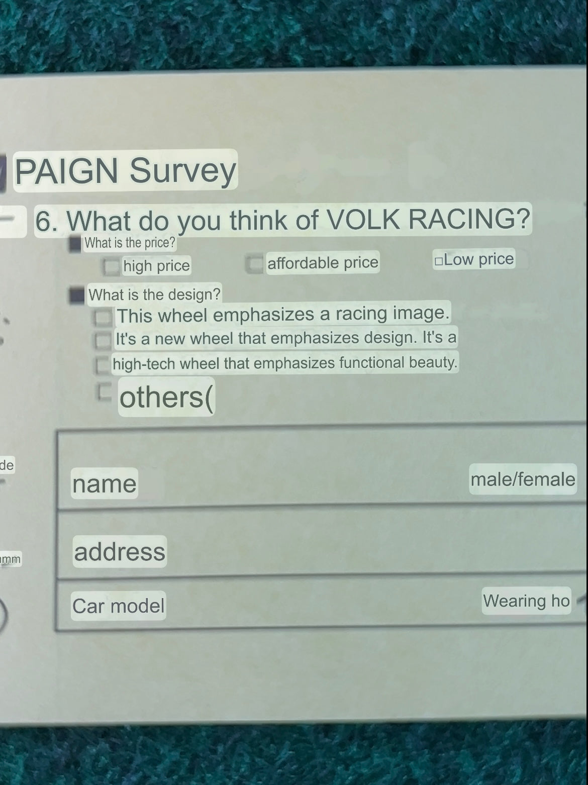 VOLK Racing RAYS Wheels - Light Blue Old Logo Font Genuine Sticker